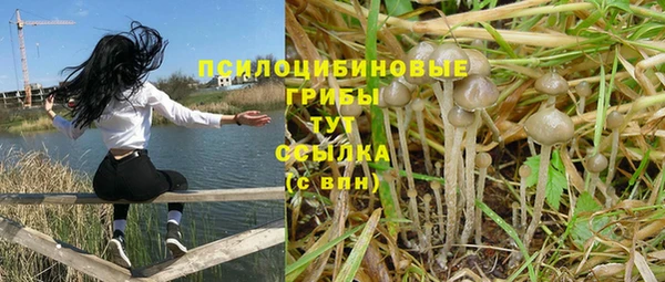первитин Абаза